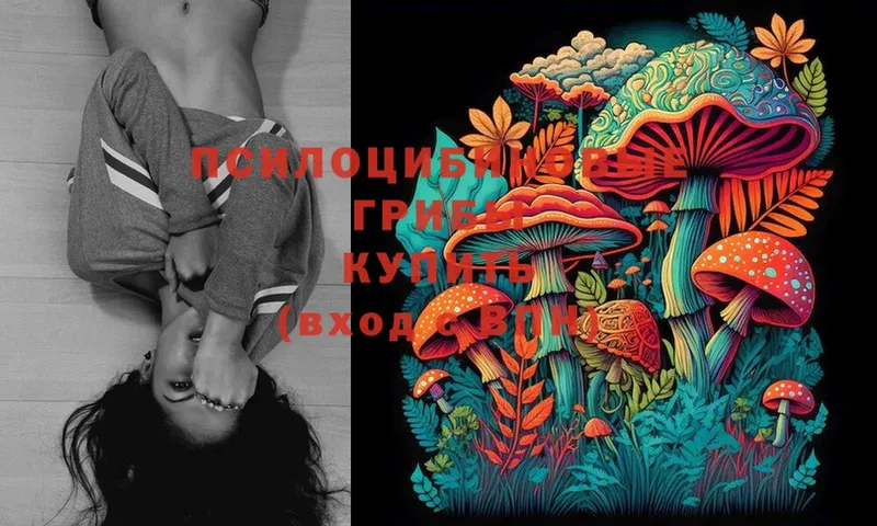 купить закладку  Коммунар  Галлюциногенные грибы MAGIC MUSHROOMS 